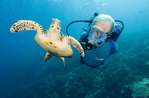 Cousteau and sea turtle, diving together