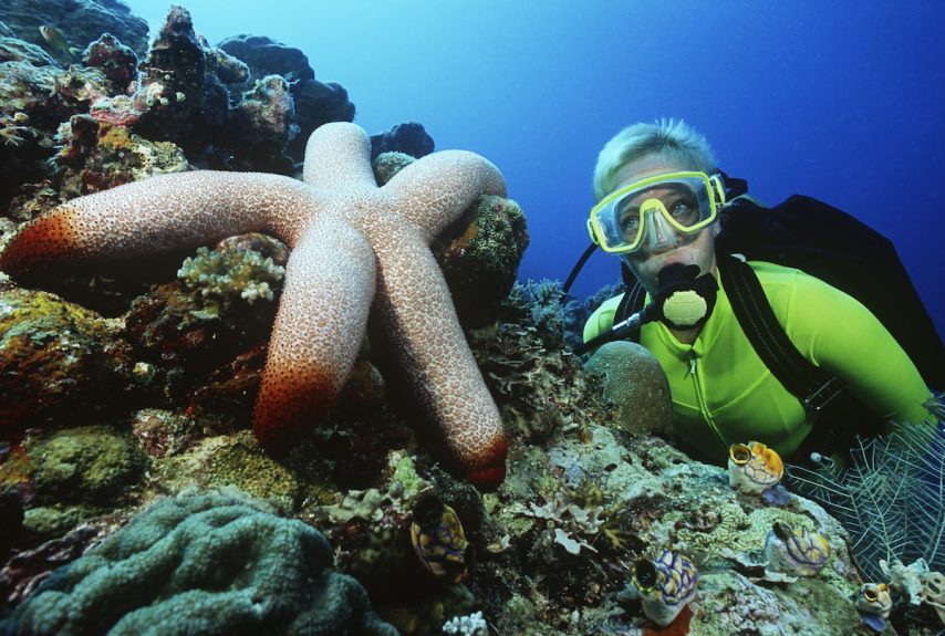 Royal Caribbean Offers PADI Scuba Centers on Board | Porthole Cruise