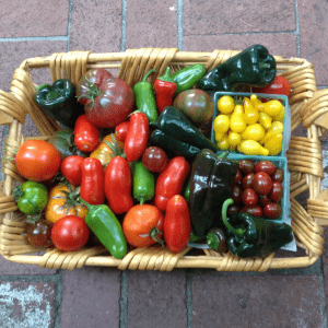 Homegrown vegetables from a Napa Valley winemaker's garden