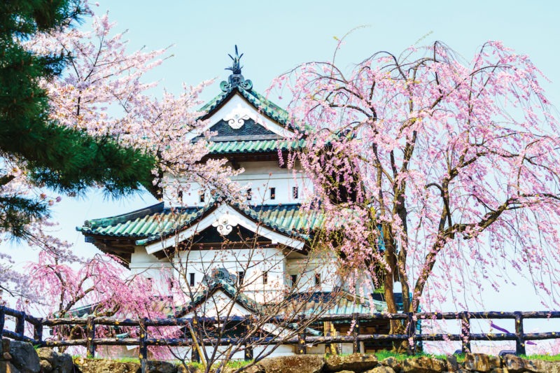 Spring festival at Hirosaki Park | J.D. Andrews