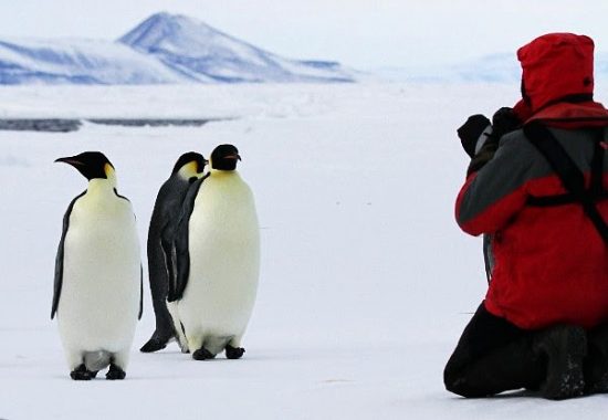 Is Antarctica the Hottest New Cruise Destination? | Porthole Cruise