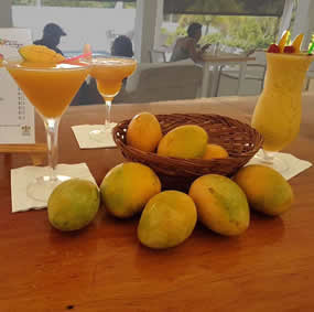 Montpelier Mango Martini