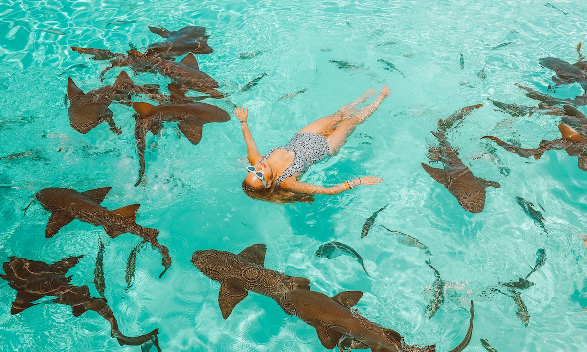 Emilia Taneva swims with sharks @bubbly.moments