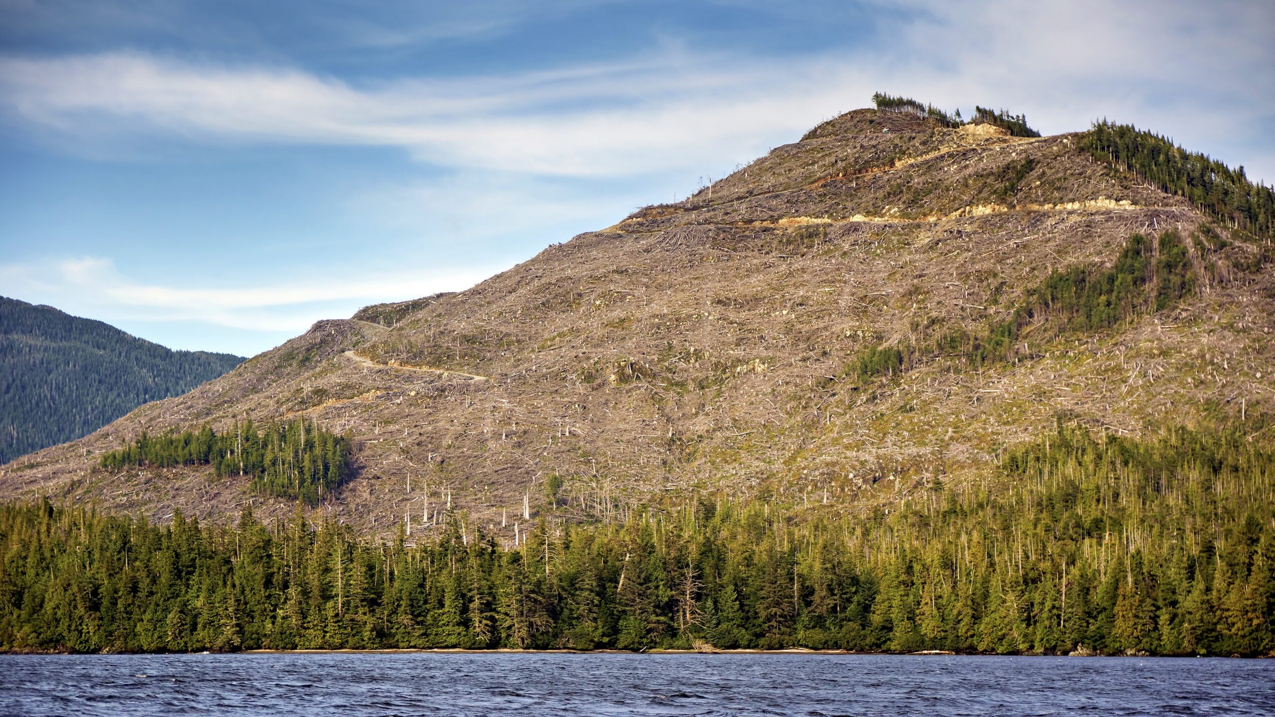 Clearcut Mountain