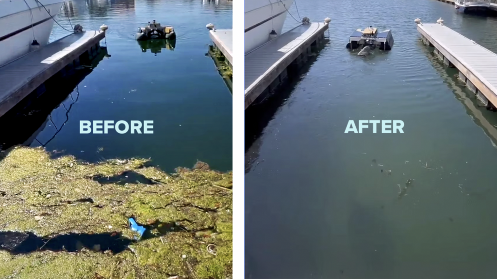 Litter-Eating Sea-Bot